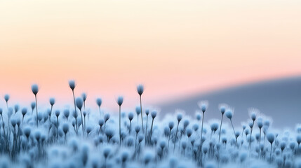 Delicate flowers bloom in soft pastel landscape at dawn, creating and peaceful scene. gentle hues of sky complement floral display, evoking sense of calm