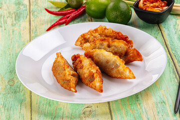 Asian fried stuffed dumplings gyoza