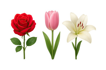 Obraz premium Colorful floral illustration featuring rose, tulip, and lily flowers on transparent background