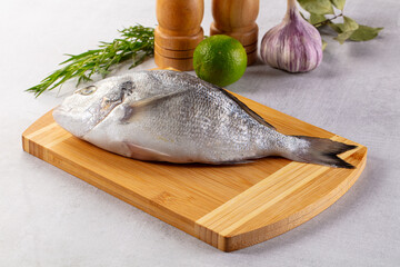 Raw fresh uncooked dorada fish