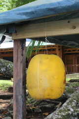 Park ranger station decorated with a buoy in Costa Rica