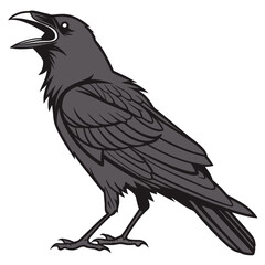 Obraz premium Raven Bird Vector Illustration