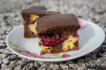 Delicious french cake with cottage cheese, plums and cocoa, baked tasty autumnal gourmet biscuit cut in squares on plate
