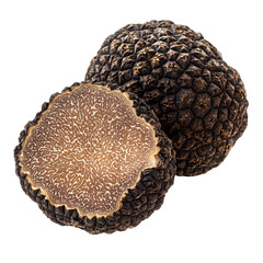 Fresh black truffles showcase unique texture and rich flavor ideal for gourmet dishes