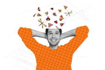 Composite photo collage of happy man cut head look butterfly bug summer walk mind thoughts imitation isolated on painted background