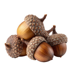 Acorns stacked together on a white surface showcasing their unique textures and shapes