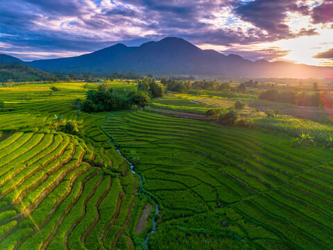 Beautiful morning view indonesia Panorama Landscape paddy fields with beauty color and sky natural light