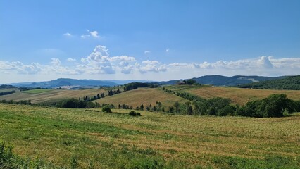 Fototapeta premium There is a cow standing in a field with mountains in the background