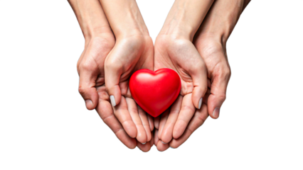 Hands holding red heart symbol of love and care on white background
