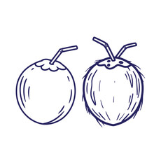 Hand drawn illustration of two coconut drinks with straws ready to be enjoyed