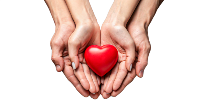 Hands holding red heart symbol of love and care on white background
