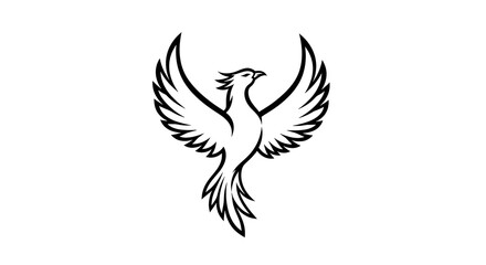 Phoenix bird illustration black white vector