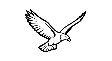 Obraz premium Soaring eagle illustration vector graphic