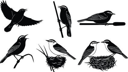 Bird silhouettes, flying posture, perched stance, nesting behavior, twig carrying, wildlife interaction, nature species, illustration set