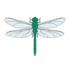 Stylized illustration of a green dragonfly with transparent wings viewed from above on a white background.