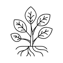 Vector art of a minimalist line drawing of a young plant with visible roots and several leaves, isolated on a