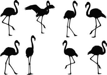 Flamingo silhouettes, standing bird, wading posture, one leg pose, tropical wildlife, exotic animal, nature illustration set