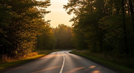 Curving road through sunlit forest with lush trees and golden hour
