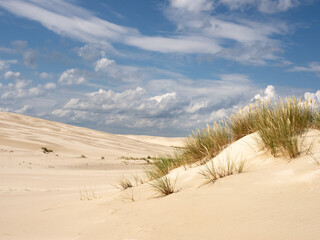 Poland, Pomerania. View of a shifting dune and sky in Słowiński National Park, Polish desert.