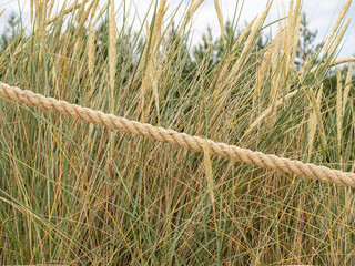 Tall Golden Grass With Thick Rope Fence In A Natural Field Setting