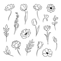 Collection of line drawing of different flowers and leaves. Floral silhouette, botanical sketch set. Elegant vector illustration elemets for print, packaging design, or wrapping paper.