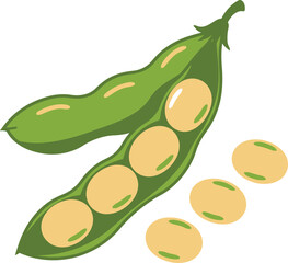 Fresh edamame pods with soybeans for healthy eating and nutrition flat design vector illustration white background
