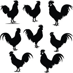 Rooster silhouettes, farm birds, standing posture, crowing pose, tail feathers, domestic animal, poultry species, nature illustration set