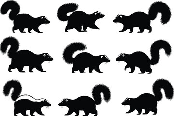 Skunk silhouettes, striped mammal, wildlife animal, defensive posture, bushy tail, forest creature, nature behavior, animal illustration set