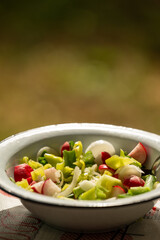 A close-up of a fresh vegetable salad served in a vintage white enamel bowl with a black rim. The salad includes sliced radishes, onion, cucumber, green onions, and bell peppers.