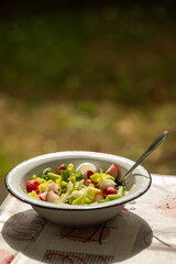A close-up of a fresh vegetable salad served in a vintage white enamel bowl with a black rim. The salad includes sliced radishes, onion, cucumber, green onions, and bell peppers.