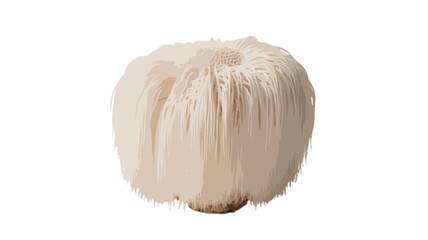 white lions mane mushroom isolated on transparent background