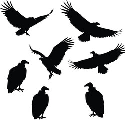 Obraz premium Vulture silhouettes, flying birds, perched posture, wing spread, scavenger species, wildlife motion, nature animal, bird illustration set