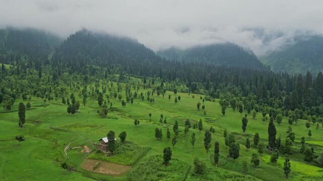 Majestic Aerial View of Arang Kel, Azad Kashmir &mdash; Vast Pine Forest Stretching Across Mountain Slopes Beneath Rugged Peaks and Blue Sky in the Heart of the Himalayas