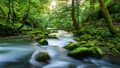 Serene River Flowing Through Lush Green Forest Mossy Rocks And Trees