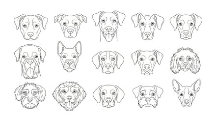 A collection of fifteen different dog breed head illustrations, presented as line art on a white background.