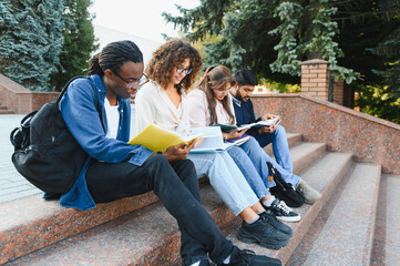 Fototapeta premium Diverse students studying together outdoors on campus steps