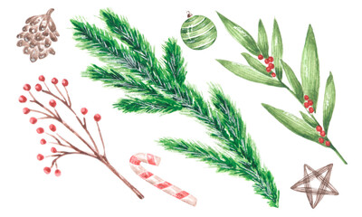 Christmas flora watercolor illustrations. Spruce branches and berries. Christmas, New Year, winter, December. Winter holidays. Decor. For printing on cards, stickers, packaging, tableware, textiles