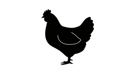 Silhouette of a black hen chicken standing profile isolated on for farm and poultry graphics Flat design vector illustration white background.