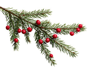 Christmas fir branch with red berries isolated on transparent background for decoration
