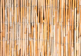 Background of bamboo reeds ideal as light brown colored fencing