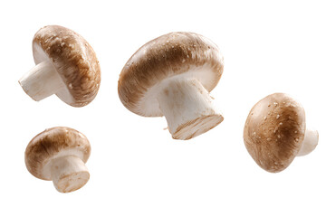 Flying champignon mushrooms in mid-air, isolated on transparent background.