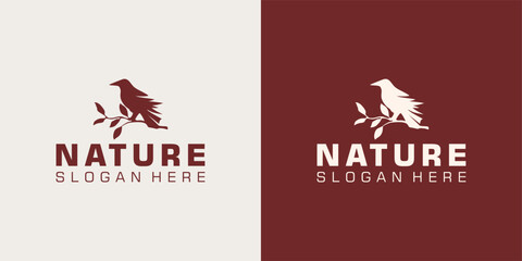 Classic Silhouette of Pigeon Dove Bird on Tree Branch for Nature 