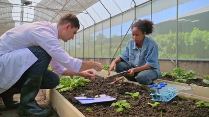 Teenage students studying and analyzing soil in research project, with scientists analyzing samples in greenhouse. Greenhouse experiments on soil nutrients. Practical training in agricultural lab - Powered by Adobe