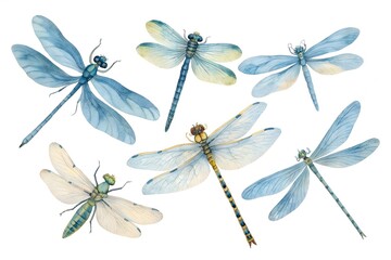 Six watercolor dragonflies in shades of blue and yellow with transparent wings dragonfly insect
