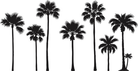 Obraz premium Vector illustration of tropical palm trees silhouettes with tall trunks and leaves, beach nature design, exotic vacation, summer holiday background