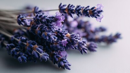  Lavender arrangement on white countertop