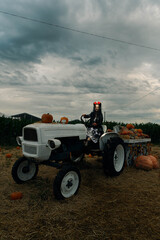 Obraz premium Woman in Day of the Dead Costume Halloween with skeleton face paint drives a rustic tractor, surrounded by pumpkins and autumn harvest elements.