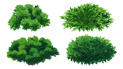 Fototapeta premium Cartoon shrub bush set. Garden green decoration bushes, illustrated hedge shrubs plants isolated on white background