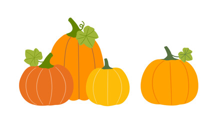 Set of autumn season farm pumpkins with leaves. 
Flat stock vector illustration.
Design for harvest festival, Thanksgiving. 
White background.