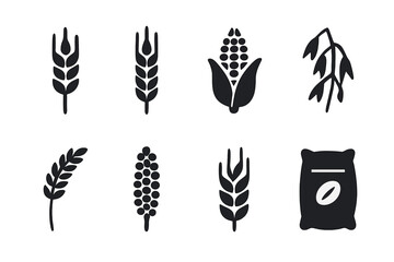 Grain Icons Set. Grains. Filled icon set of Grains: wheat stalk, barley stalk, corn cob, oats, rice stalk,